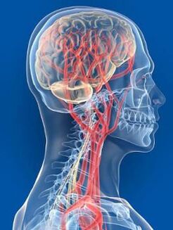 Une autre cause de l’hypertension est une altération de l’apport sanguin au cerveau